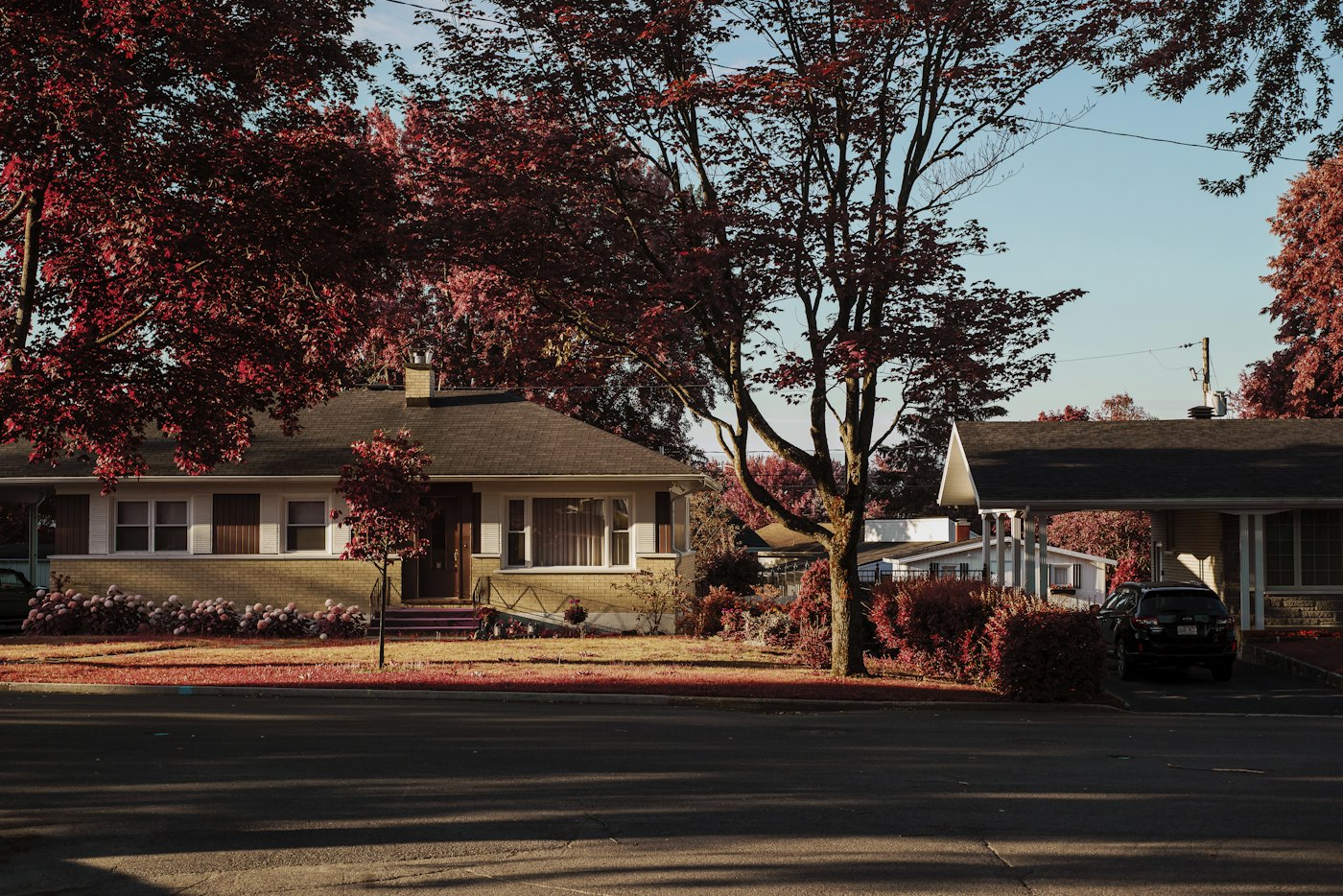 A residential street typical of Howell, Michigan